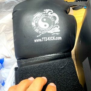 Martial arts gloves